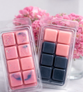 Modern Muse